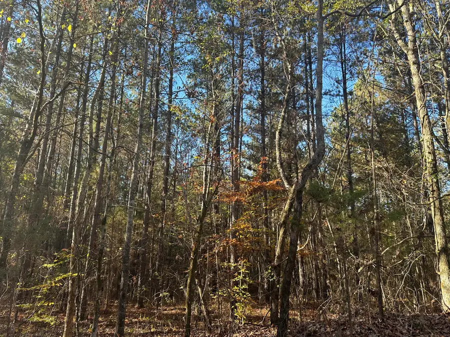 00 Mt Carmel Road, Decatur, TN 37322 - #3