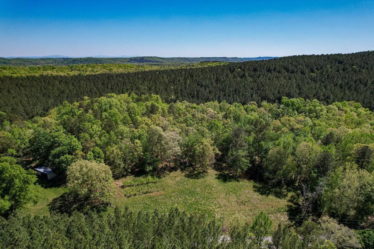 000 Cottonport Road, Decatur, TN 37322 - #1