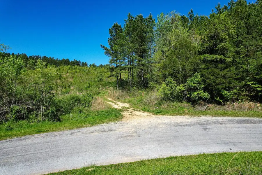 000 Cottonport Road, Decatur, TN 37322 - #2