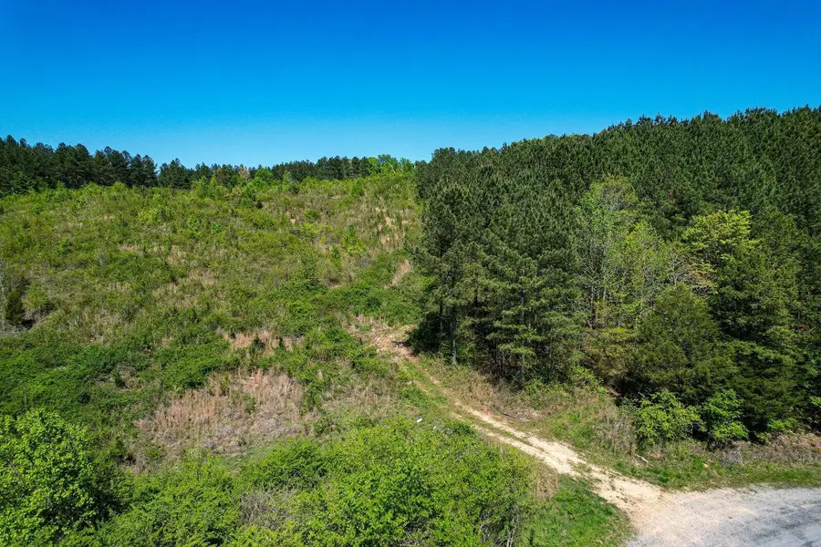 000 Cottonport Road, Decatur, TN 37322 - #3