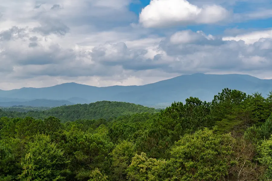 156 Pineview Lane, Copperhill, TN 37317 - #2