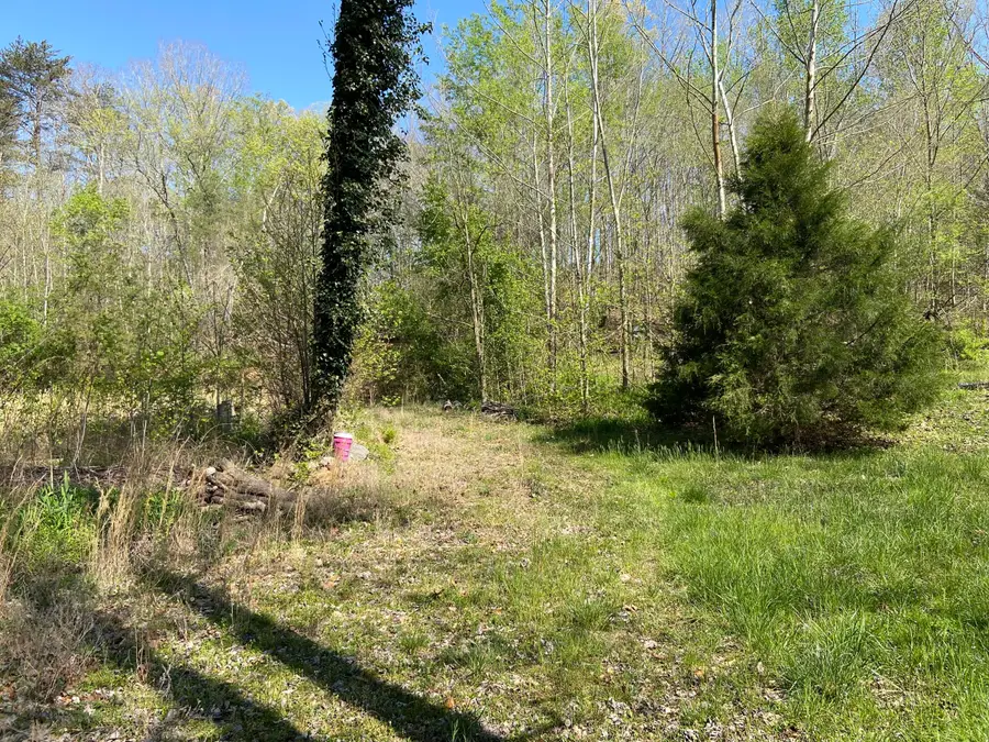 2205 Lower Cove Loop, Dayton, TN 37321 - #3