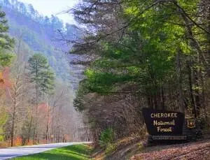 355 Pankey Lane, Benton, TN 37307 - #3