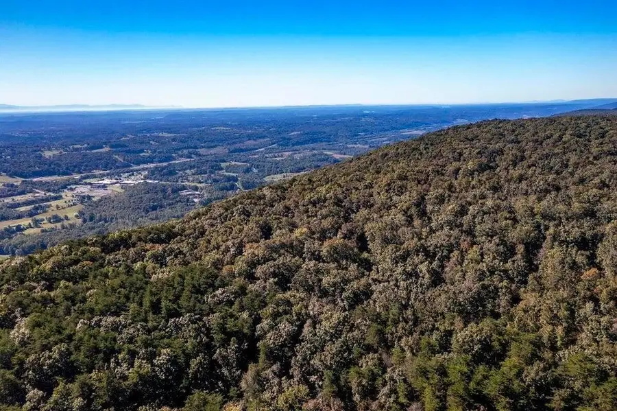 Tract 11 Wash Pelfrey Road, Evensville, TN 37332 - #2