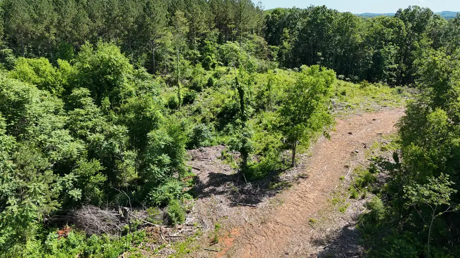Lot 2 Lamontville Road, Decatur, TN 37322 - #2