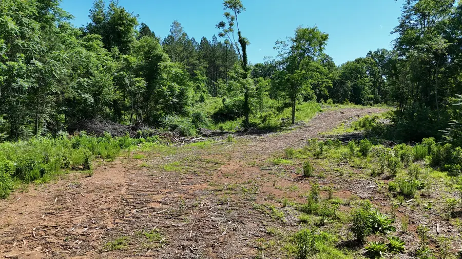 Lot 2 Lamontville Road, Decatur, TN 37322 - #3