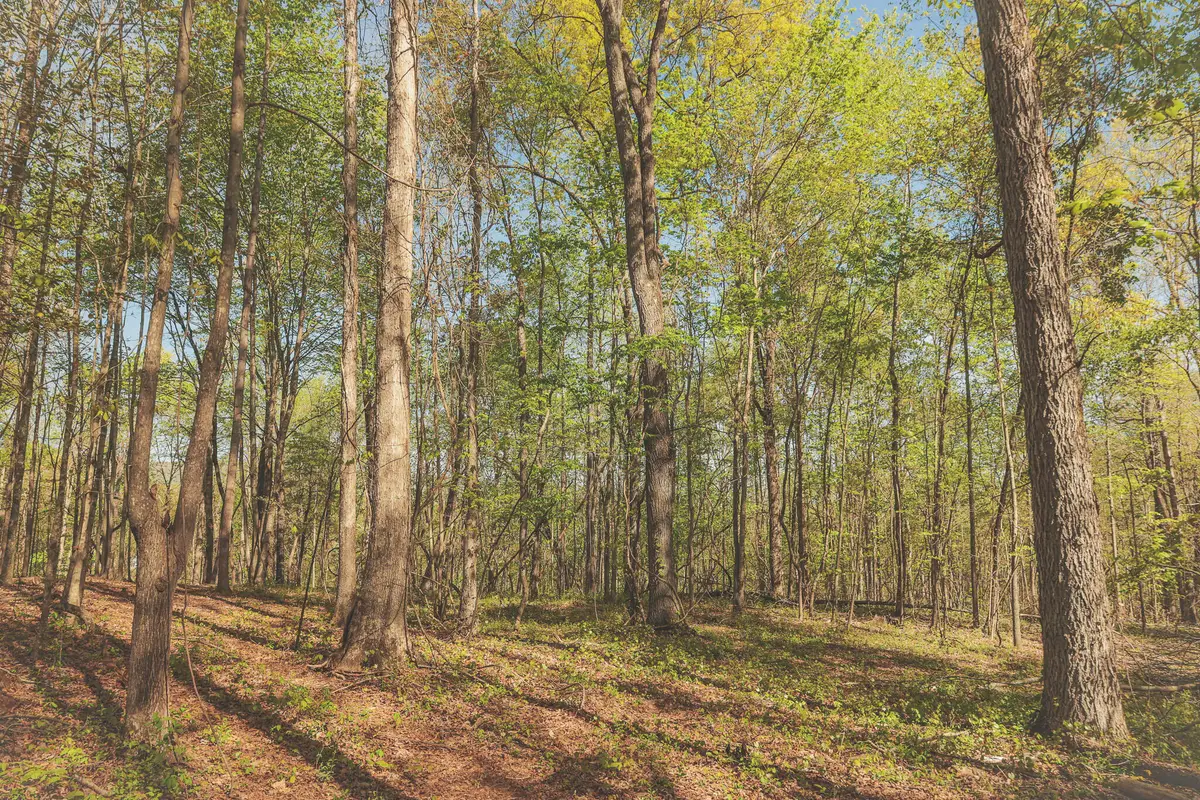 0 Howard Huttsell Lane, Spring City, TN 37381 - #1