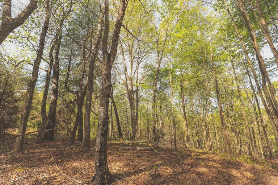 0 Howard Huttsell Lane, Spring City, TN 37381 - #3