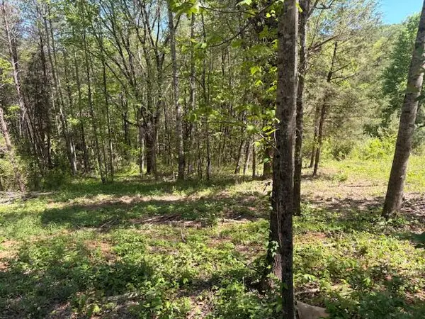 00 Bivens Court, Niota, TN 37826