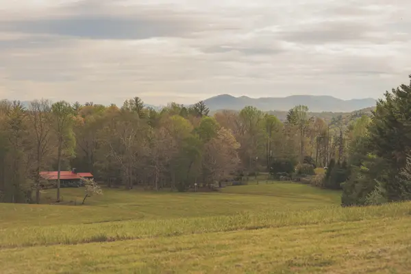 1854 Catoosa Road, Wartburg, TN 37887