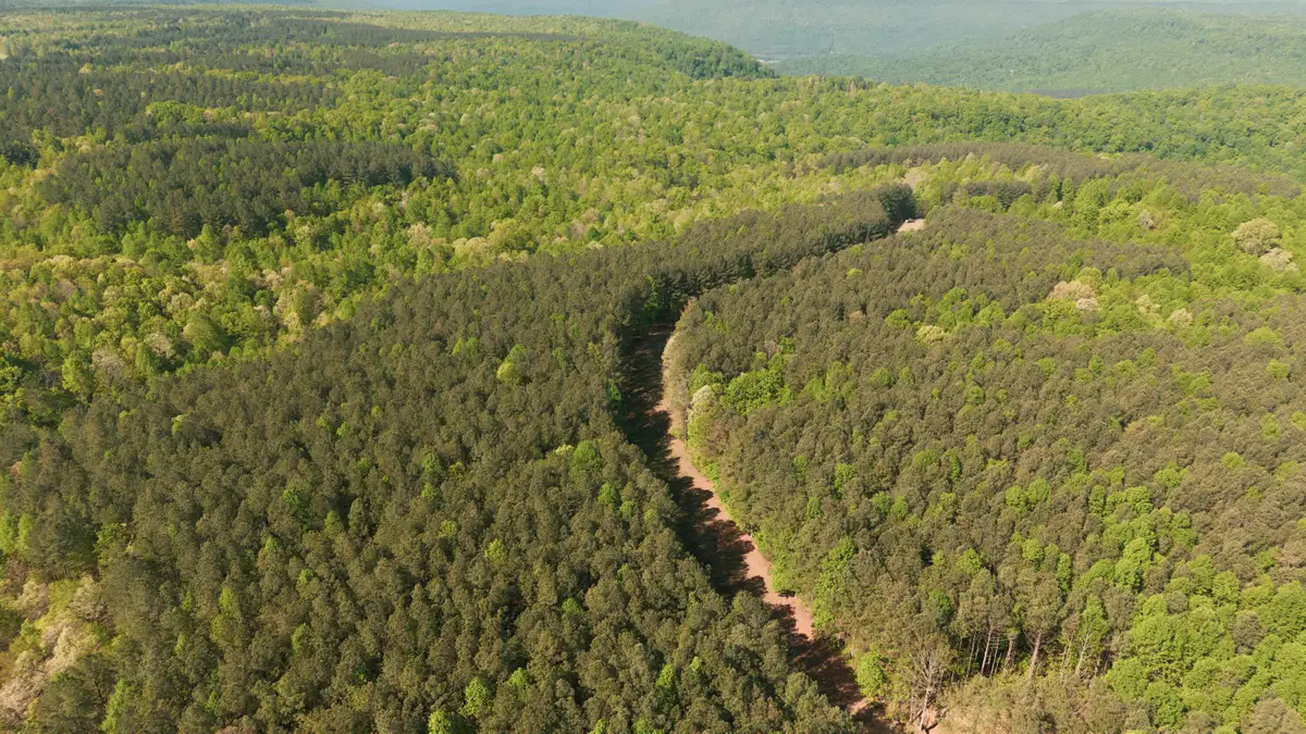 0 Browns Trace Road, South Pittsburg, TN 37380 - #1