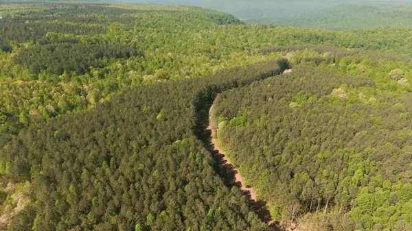 0 Browns Trace Road, South Pittsburg, TN 37380