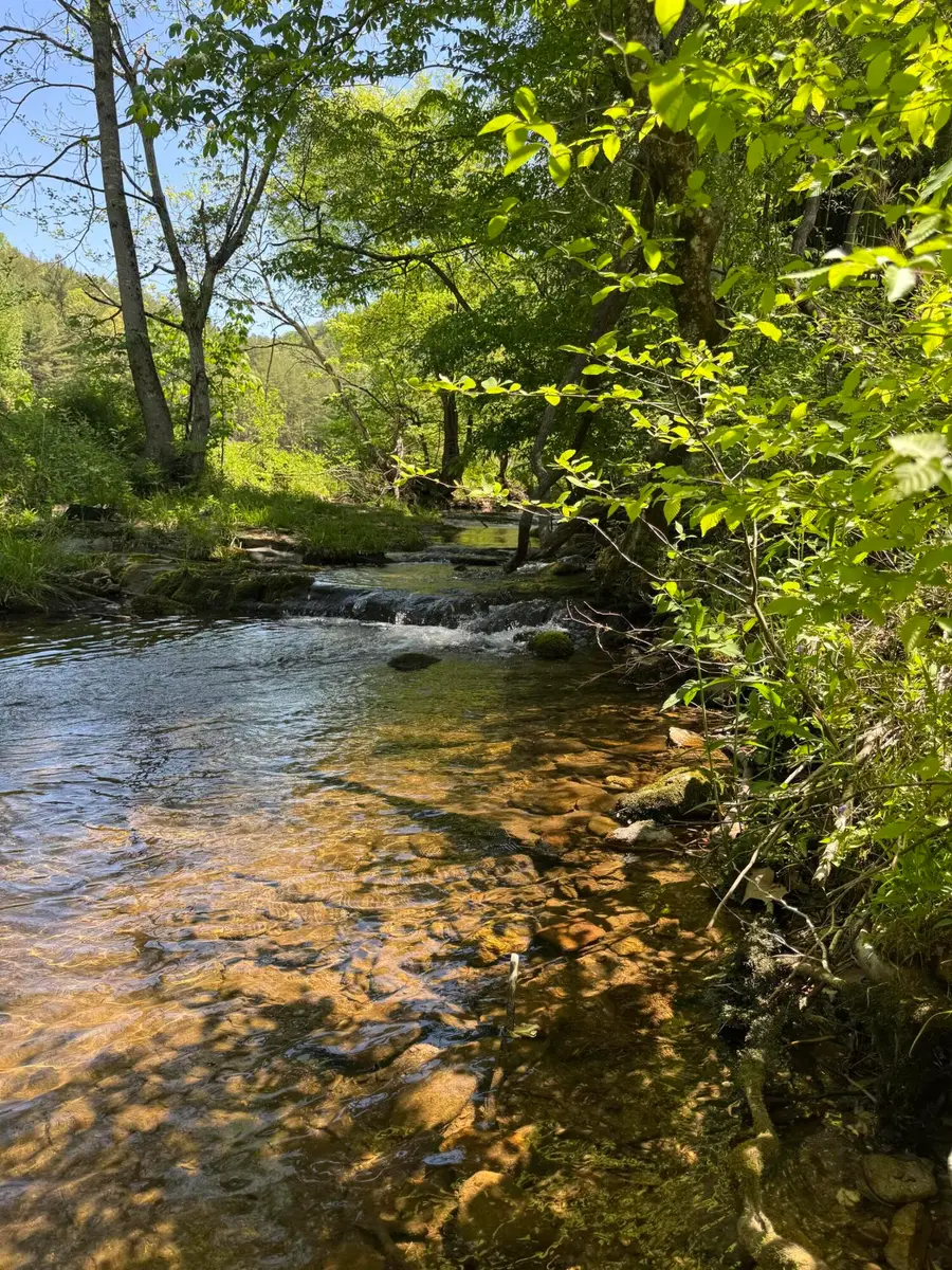 915 Chestnut Valley Road, Vonore, TN 37885 - #2