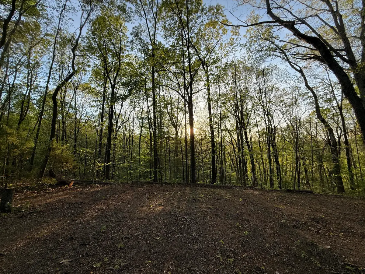 00 Sloan Gap Road, Ocoee, TN 37361 - #1