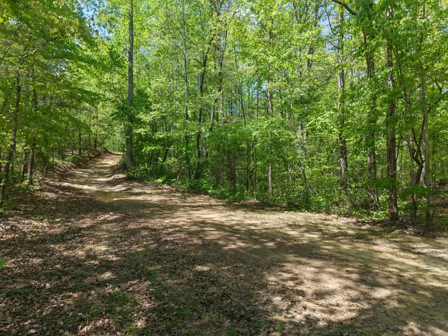 00 Jim Black Drive, Old Fort, TN 37362 - #2