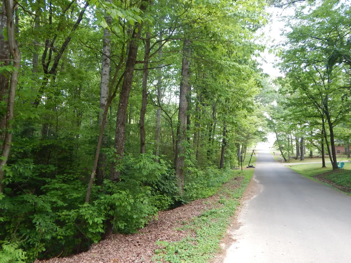 0 County Road 147, Riceville, TN 37370 - #1