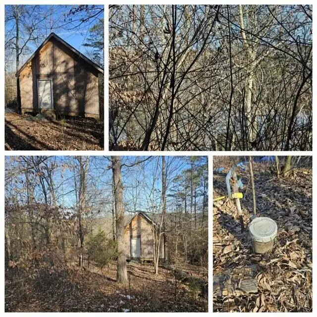125 Kittiwake Place Nw, Georgetown, TN 37336 - #2