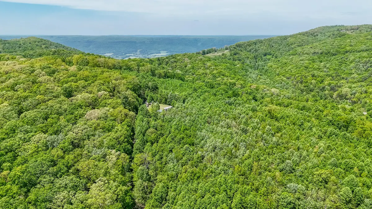 1867 Big Ridge Road, Spring City, TN 37381 - #1