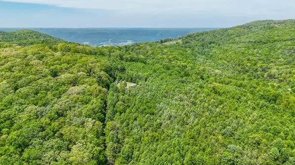 1867 Big Ridge Road, Spring City, TN 37381