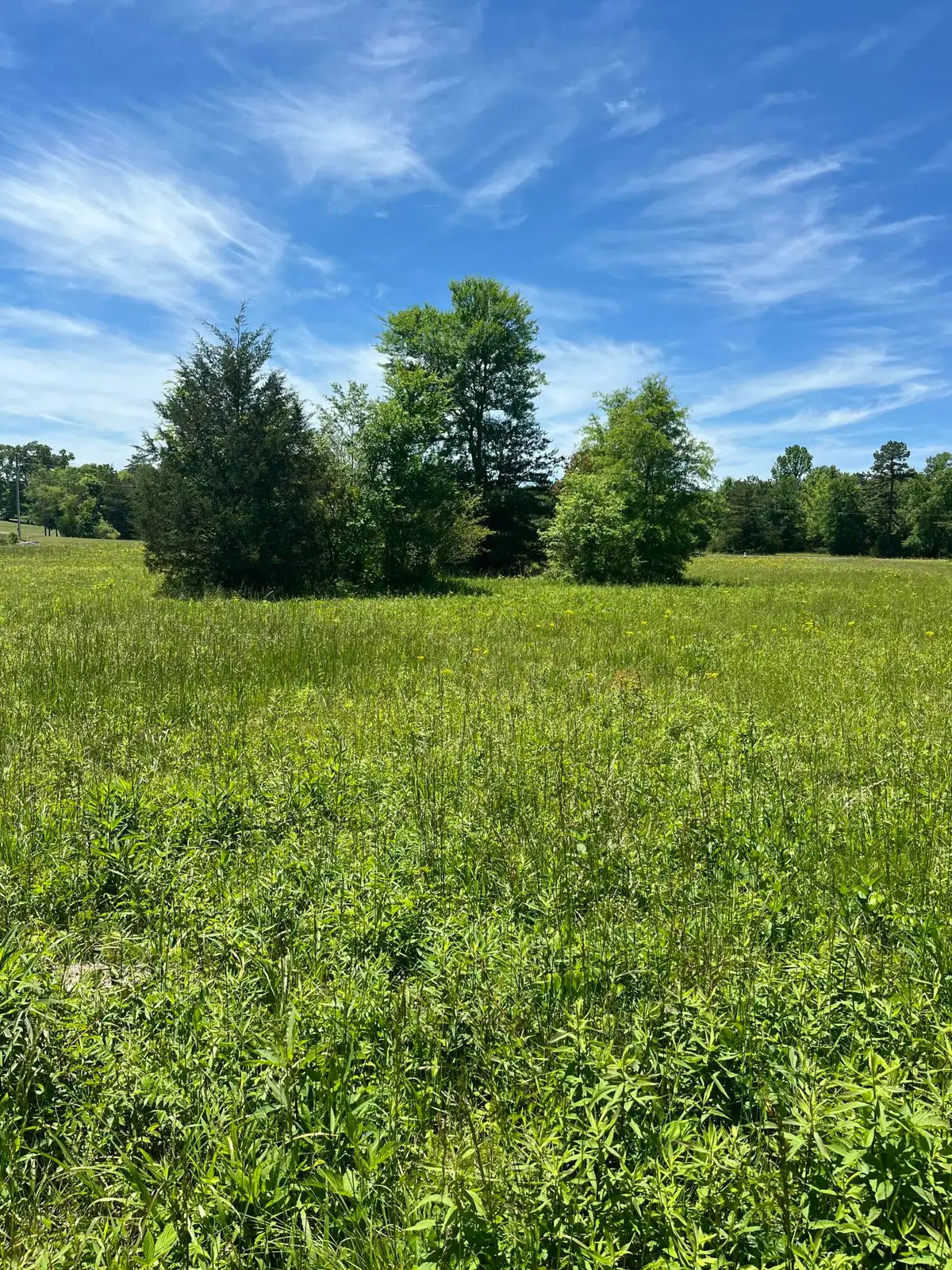 0 County Road 545, Englewood, TN 37329 - #1