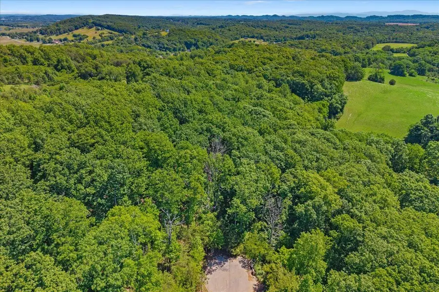 00 Poplar Lot 32 Drive, Sweetwater, TN 37874 - #2