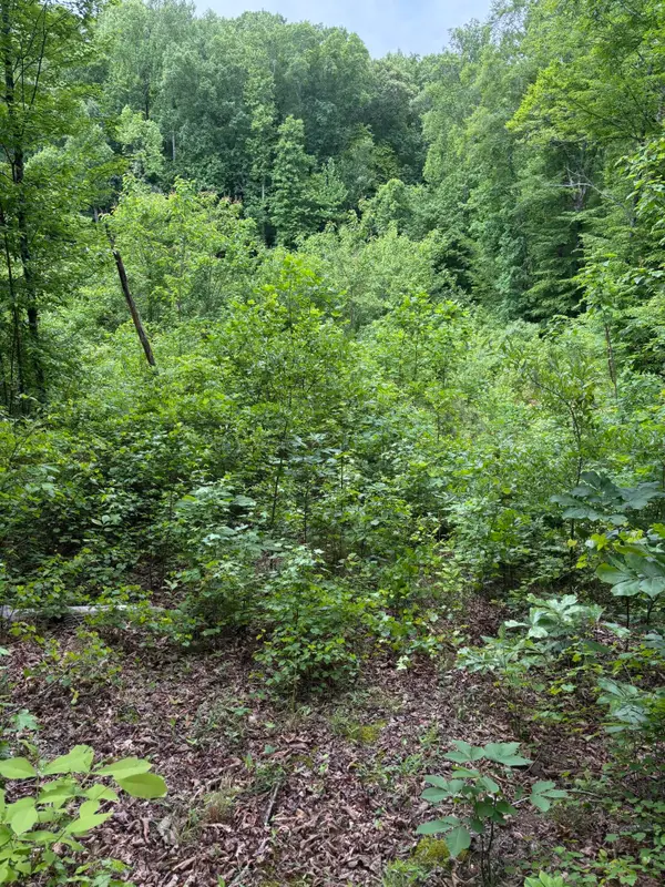 225 Hollow Road, Whitwell, TN 37397