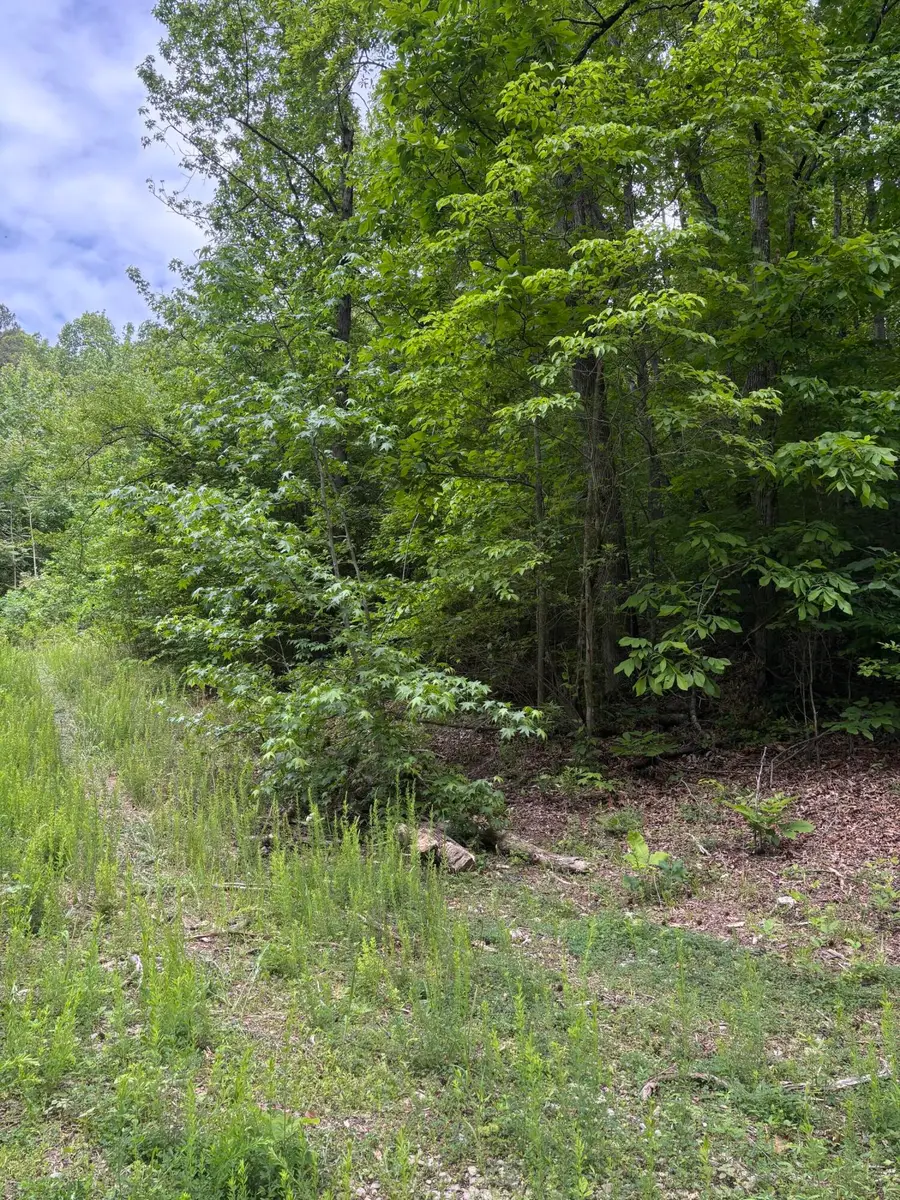 225 Hollow Road, Whitwell, TN 37397 - #3