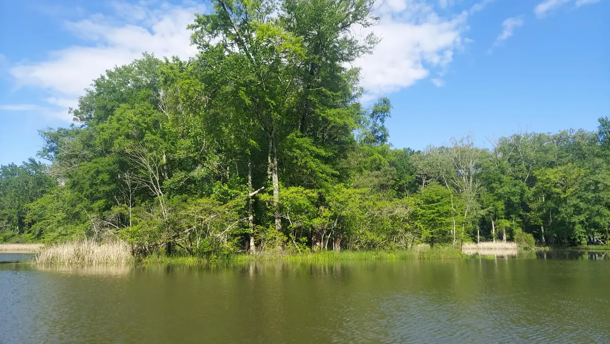 Lot 4 & 5 Warren Lane, Decatur, TN 37322 - #1