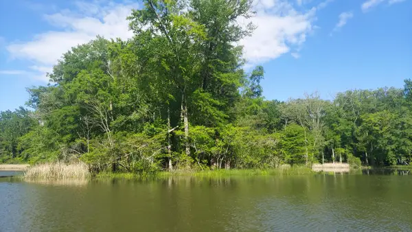 Lot 4 & 5 Warren Lane, Decatur, TN 37322