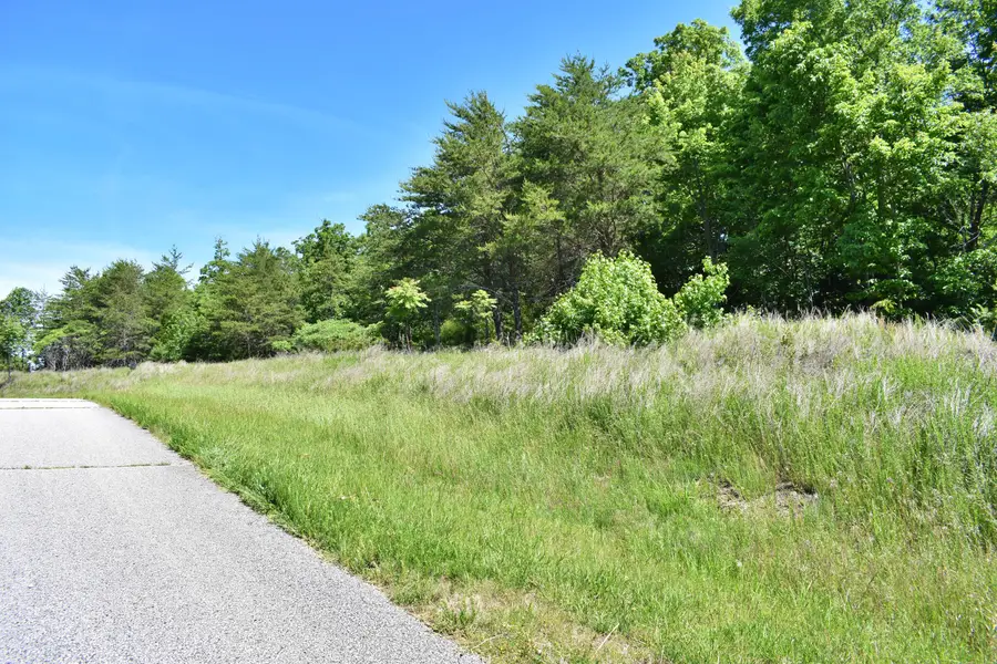 0 Flint Ridge Road, Rockwood, TN 37854 - #3