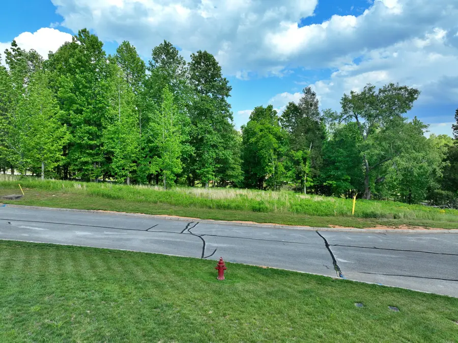 Lot 56 Blue Heron Bluff, Harriman, TN 37748 - #2