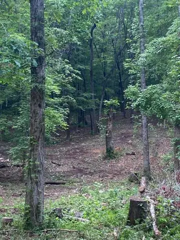 296 County Road 263, Niota, TN 37826 - #1