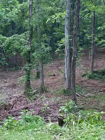 296 County Road 263, Niota, TN 37826 - #2
