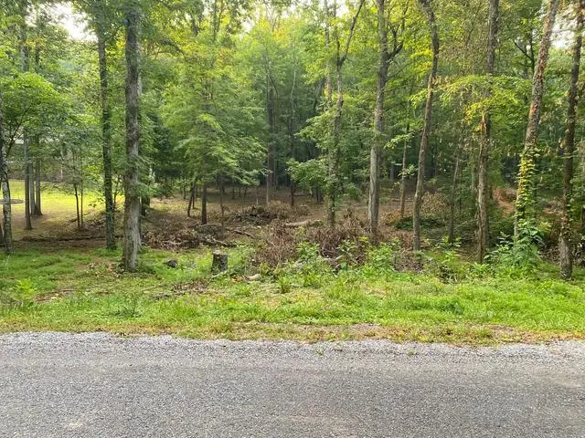 296 County Road 263, Niota, TN 37826 - #3