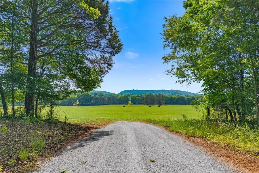 21+/- Acre County Road 675, Riceville, TN 37370 - #2