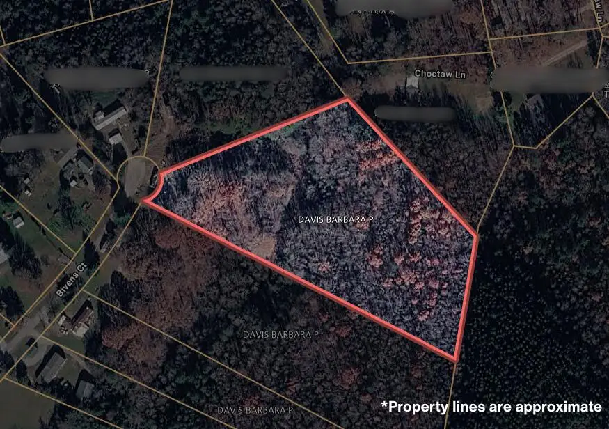 200 Bivens Court, Niota, TN 37826 - #1