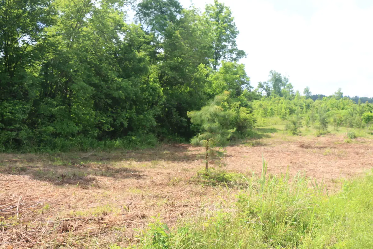 Tract 1 N Nopone Valley Road, Decatur, TN 37322 - #1