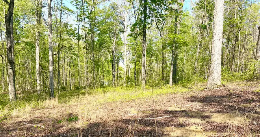 631 Shahan Lane, Birchwood, TN 37308 - #3