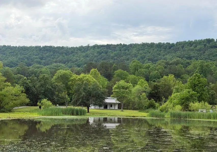 1483 Reagan Valley Road, Tellico Plains, TN 37385 - #1