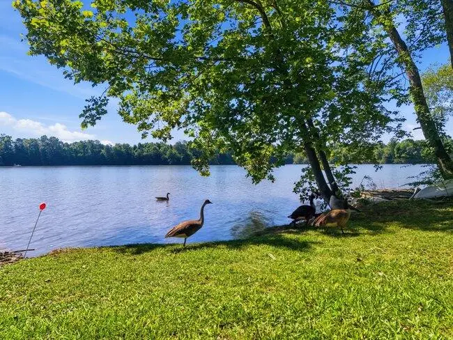 Address Withheld By Seller, Spring City, TN 37381 - #3