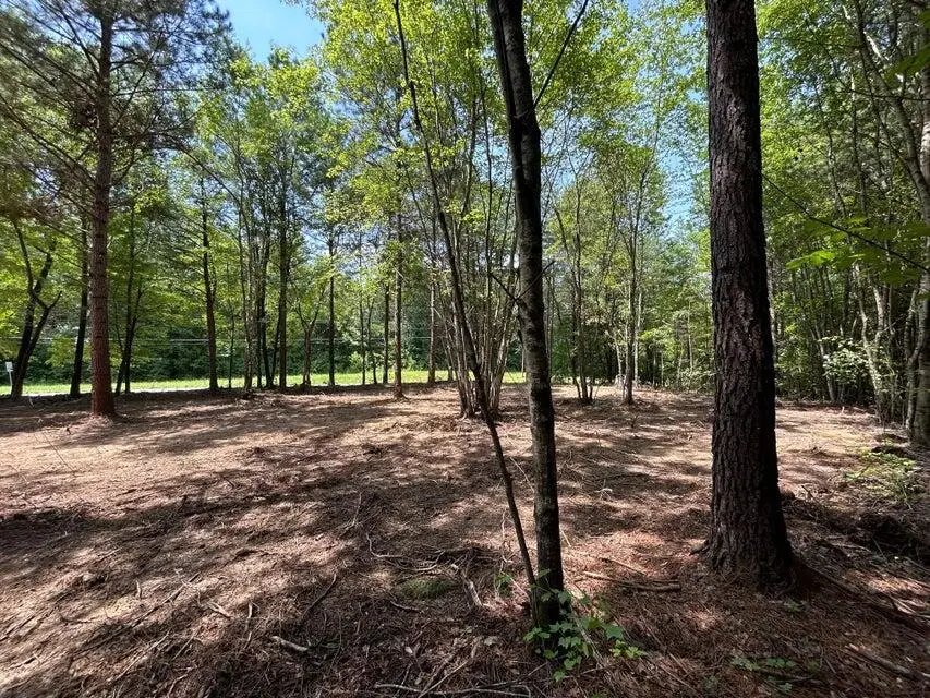 34 Acres Tennessee 304, Ten Mile, TN 37880 - #3
