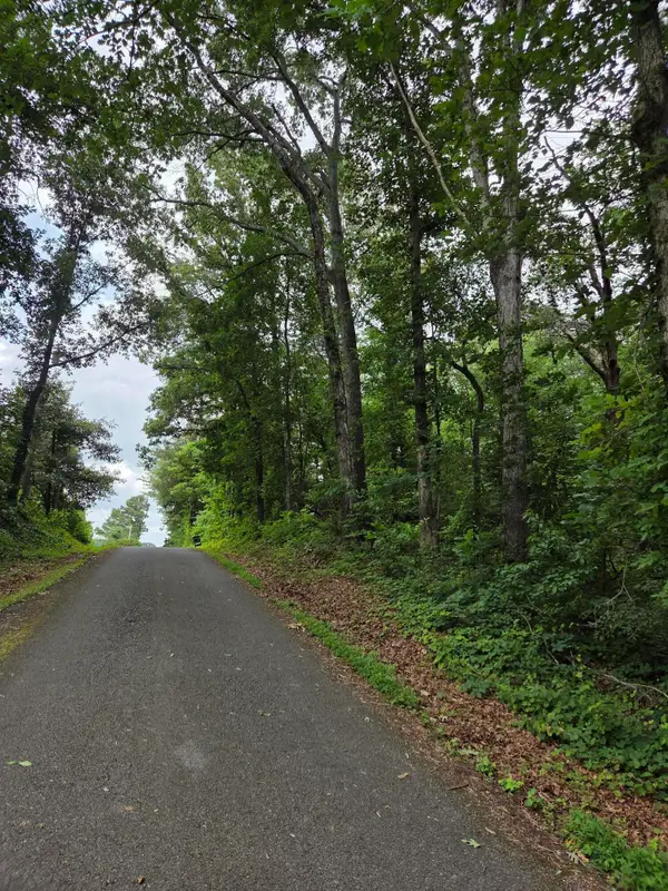 0 Co Rd 156, Riceville, TN 37370