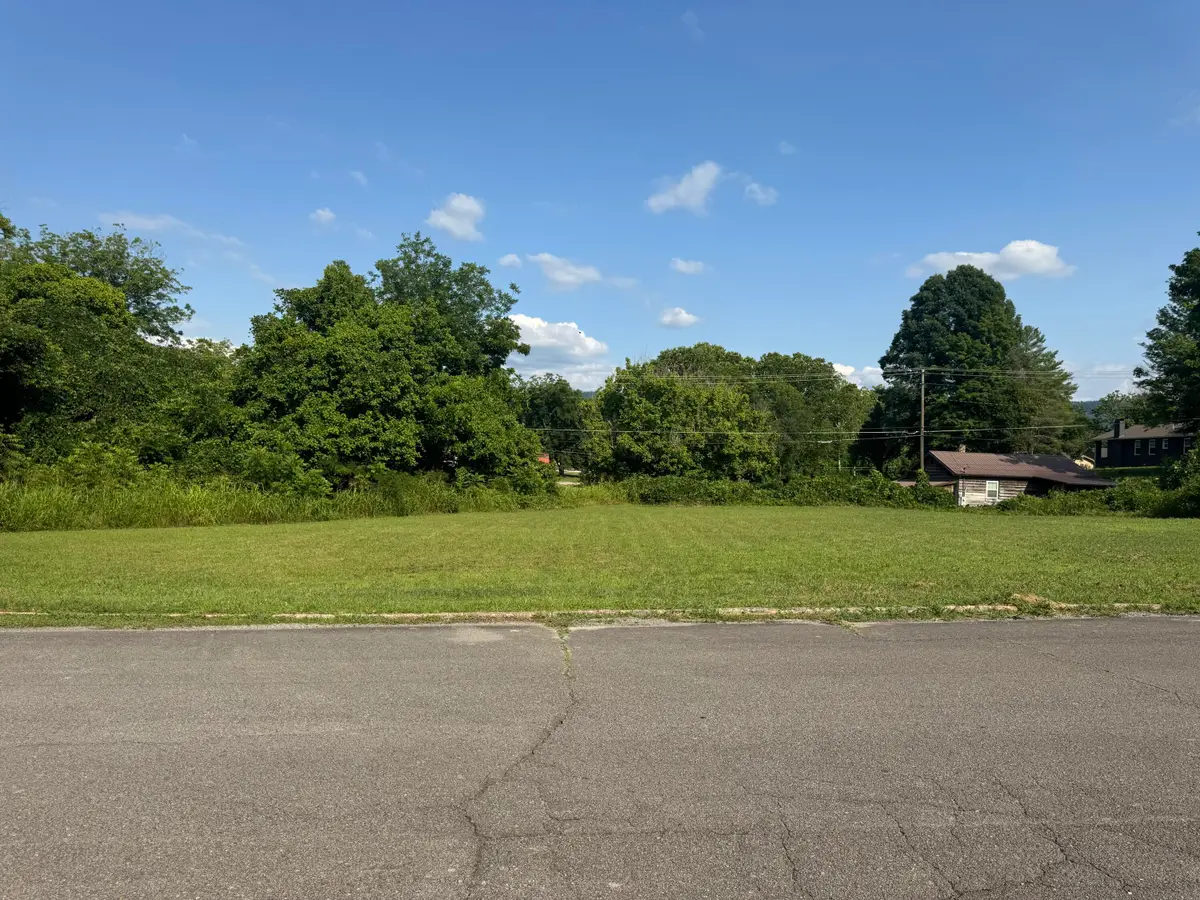 .947 Washington Avenue, Etowah, TN 37331 - #1