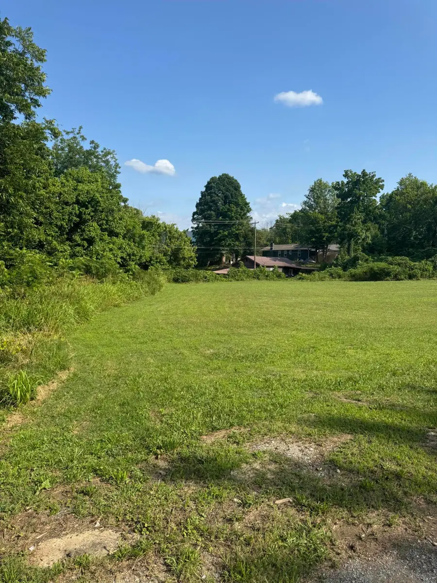 .947 Washington Avenue, Etowah, TN 37331 - #3