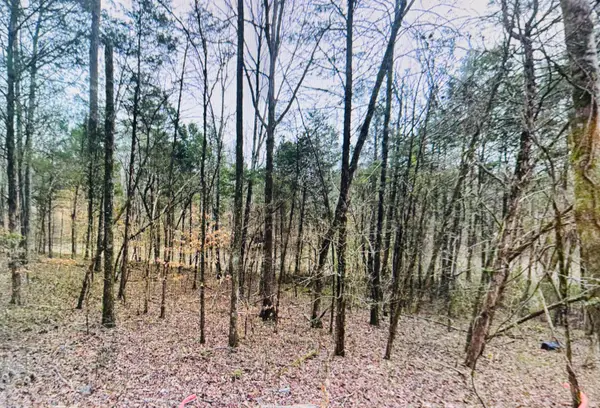 00 County Road 121, Athens, TN 37303
