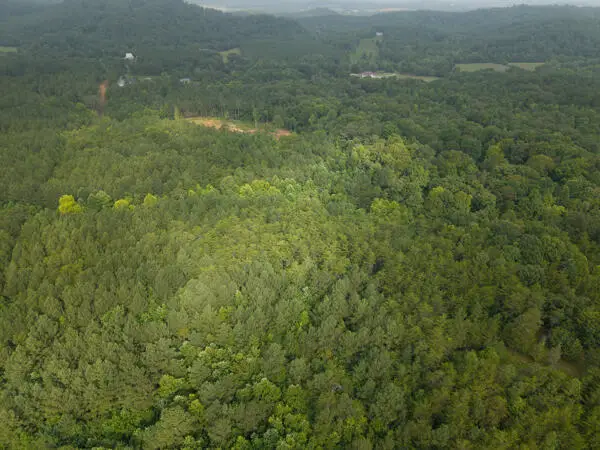 000 County Road 752, Riceville, TN 37370 - #3