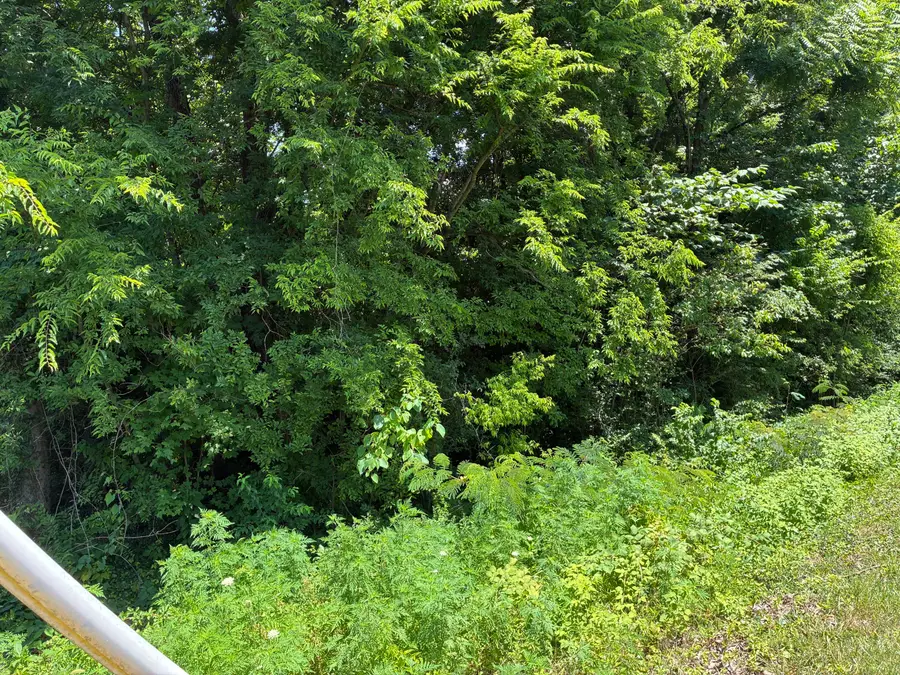 000 Sweetwater Vonore Road, Sweetwater, TN 37874 - #2