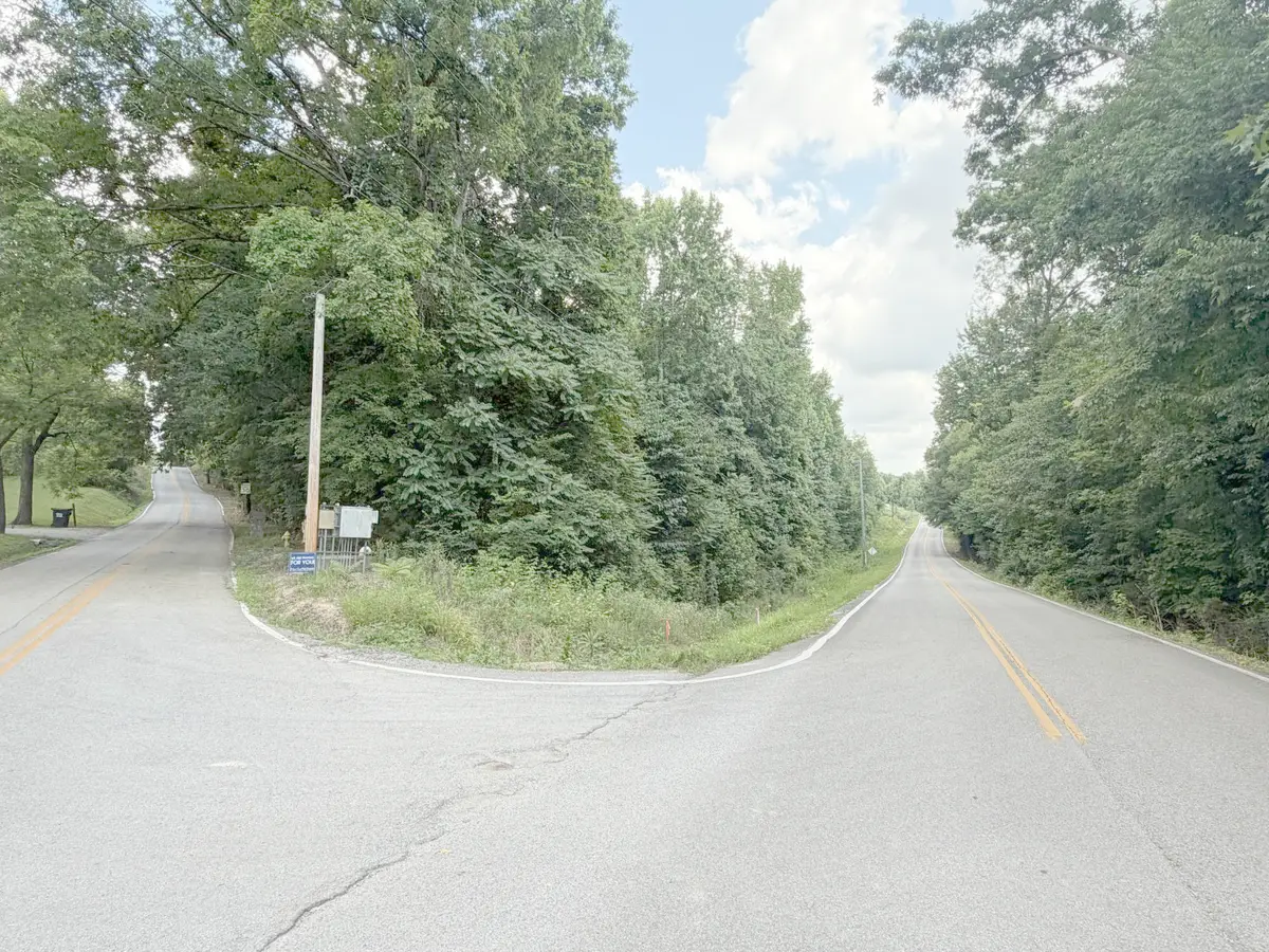 0 Andy Thomas Road, Sale Creek, TN 37373 - #1