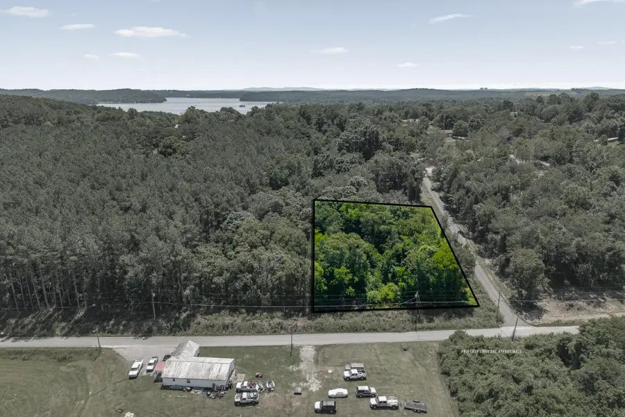 Lot 23 Hinch Street, Spring City, TN 37381 - #3