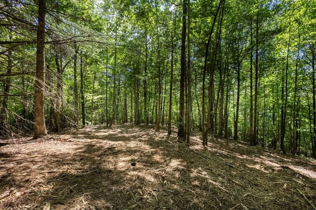 4.0 Acre Donley Road, Murphy, NC 28906 - #1